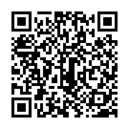 QR code for P96228