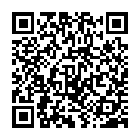 QR code for P96388
