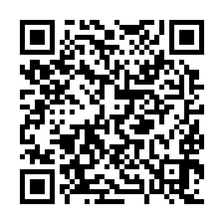 QR code for P96393