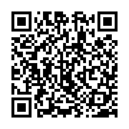 QR code for P96549