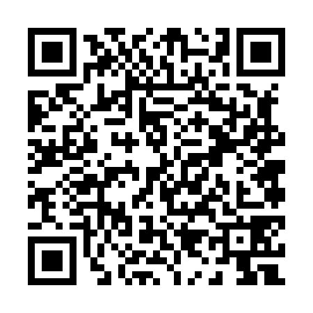 QR code for P968784