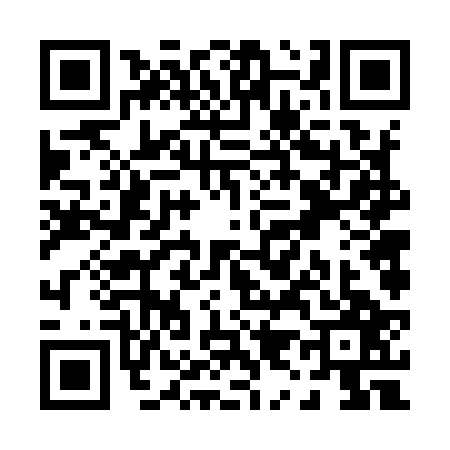 QR code for P969279