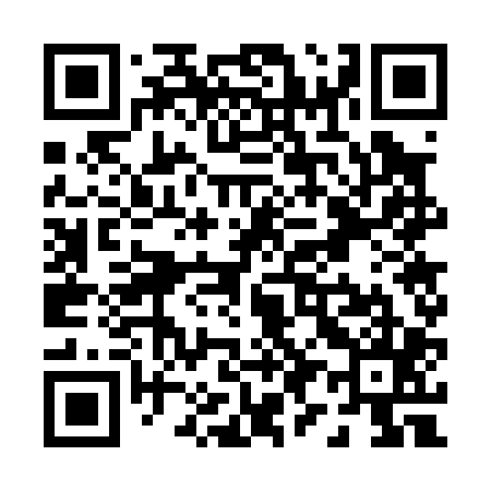 QR code for P97005