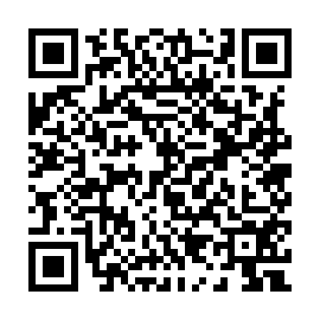 QR code for P979541