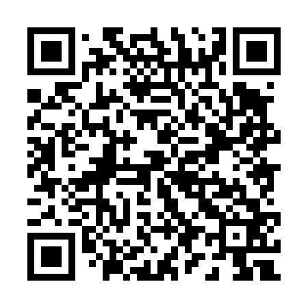 QR code for P98462