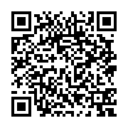 QR code for P990303