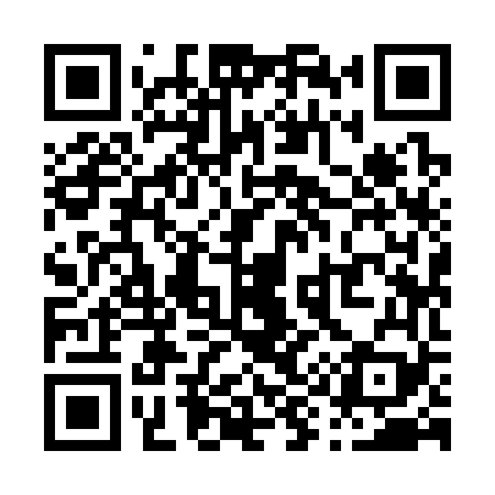 QR code for P99369