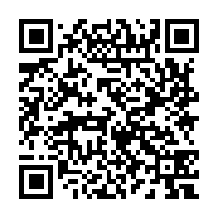 QR code for P99938