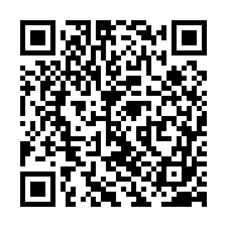 QR code for PAG163