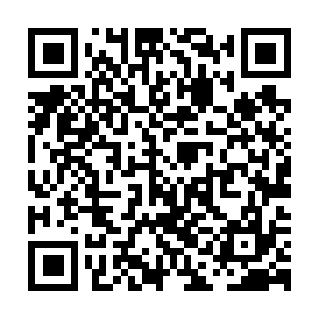 QR code for PAL637