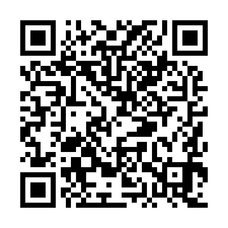 QR code for PAP991