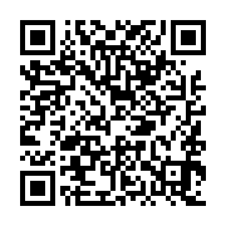 QR code for PAT491