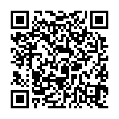 QR code for PDF381