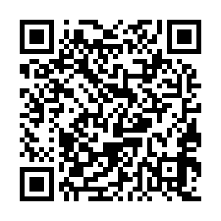 QR code for PDG959