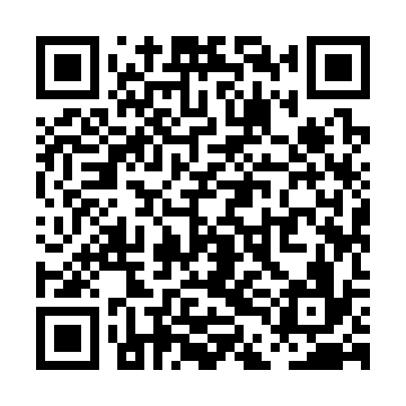 QR code for PDI336
