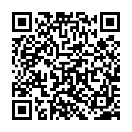 QR code for PDL597