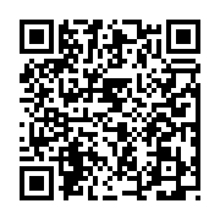 QR code for PE20394