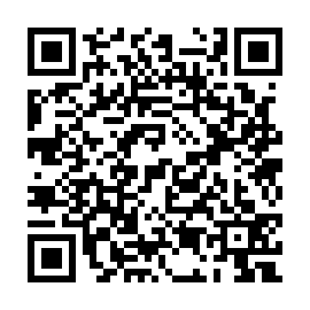 QR code for PE31333