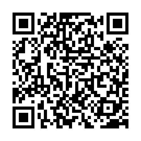 QR code for PE3869