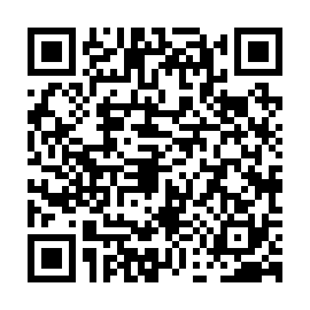 QR code for PE82307