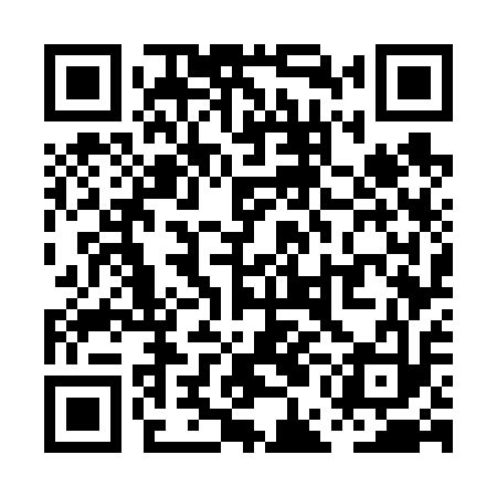QR code for PEG613