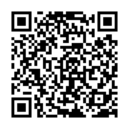 QR code for PEK738