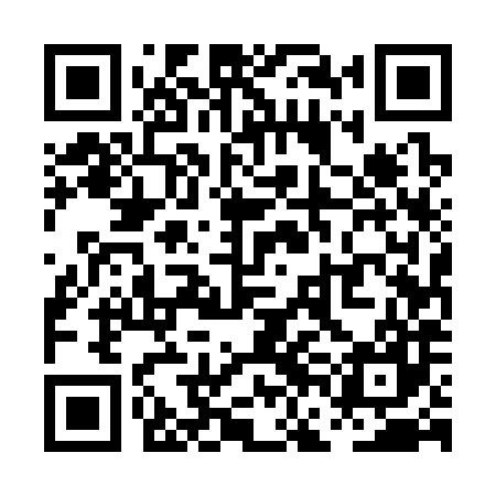 QR code for PFE387
