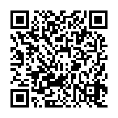 QR code for PFP938