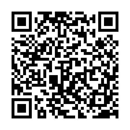 QR code for PFV063