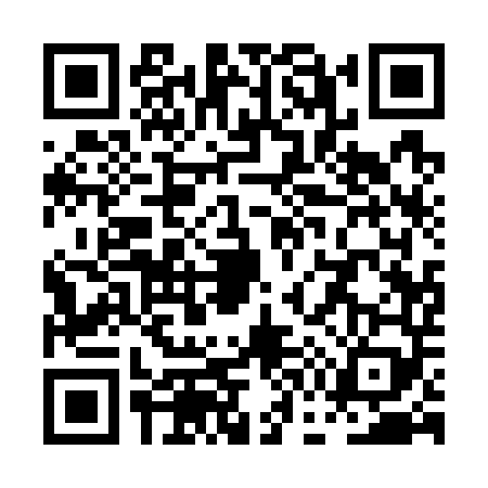 QR code for PG17494