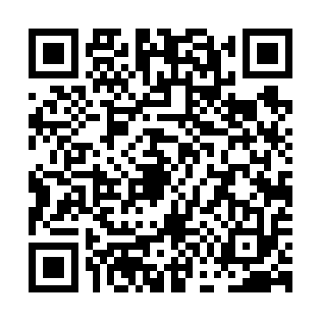 QR code for PG46137