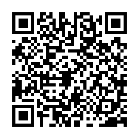 QR code for PG87994