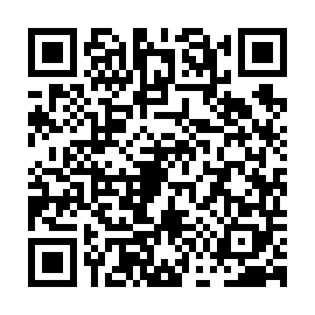 QR code for PG96486