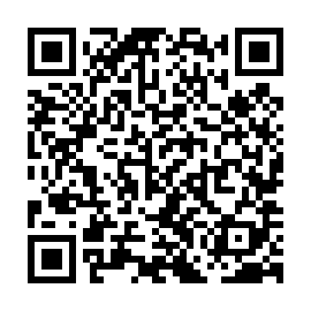 QR code for PGN489