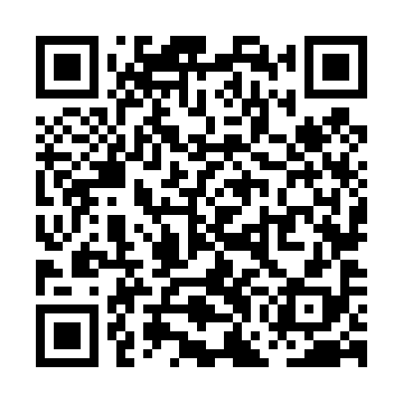 QR code for PGN498