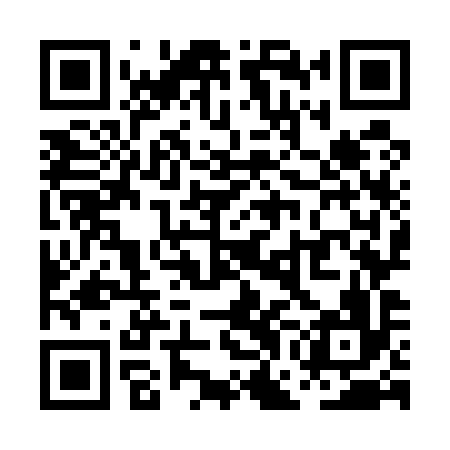 QR code for PGO596
