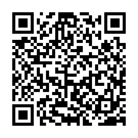 QR code for PH2333