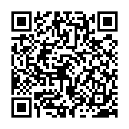 QR code for PH95333