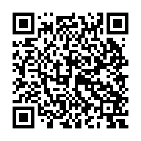 QR code for PI0243