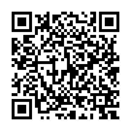 QR code for PI09236