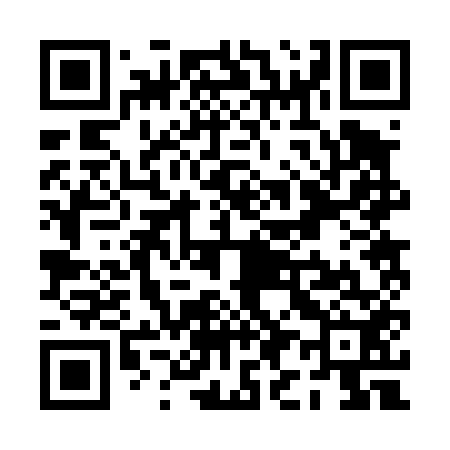 QR code for PI2452