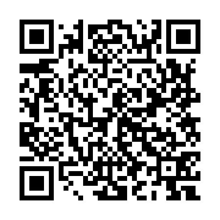QR code for PI2971