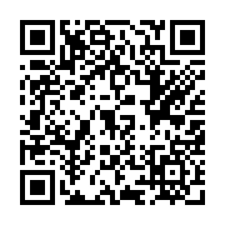 QR code for PI53376