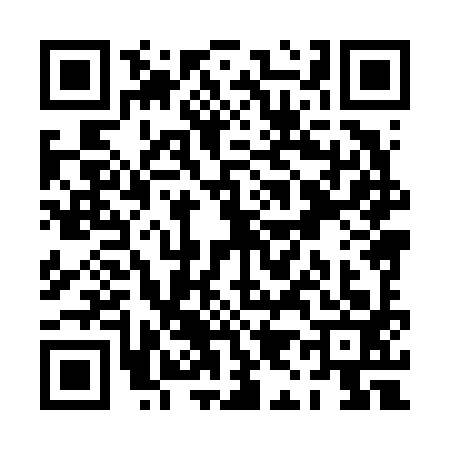 QR code for PI86936