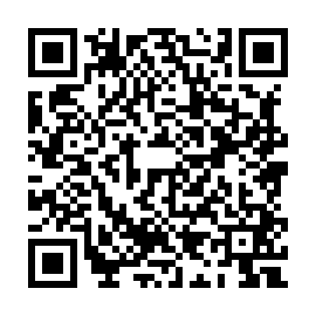 QR code for PI88410