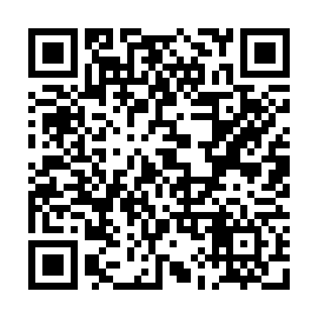 QR code for PI9366