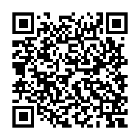 QR code for PIN102