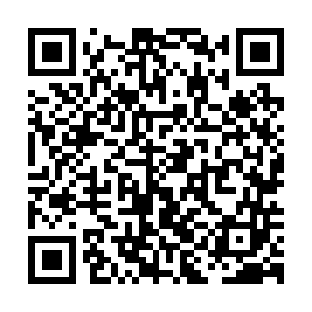 QR code for PIN243