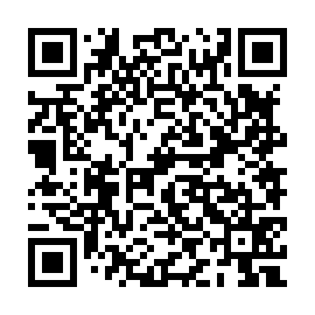 QR code for PIN875