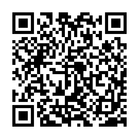 QR code for PIR313